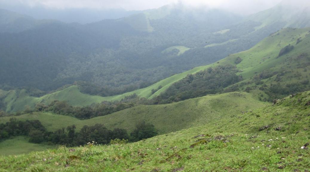 in The lap of Nature, Western Ghats in Karnataka