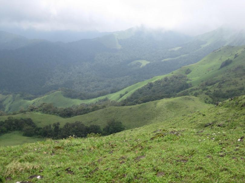 in The lap of Nature, Western Ghats in Karnataka