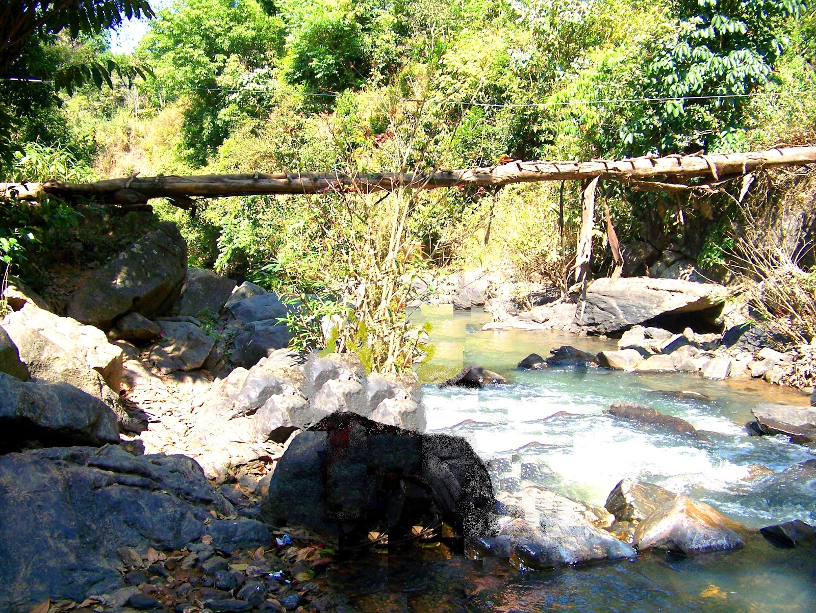 The Bridge across the brook