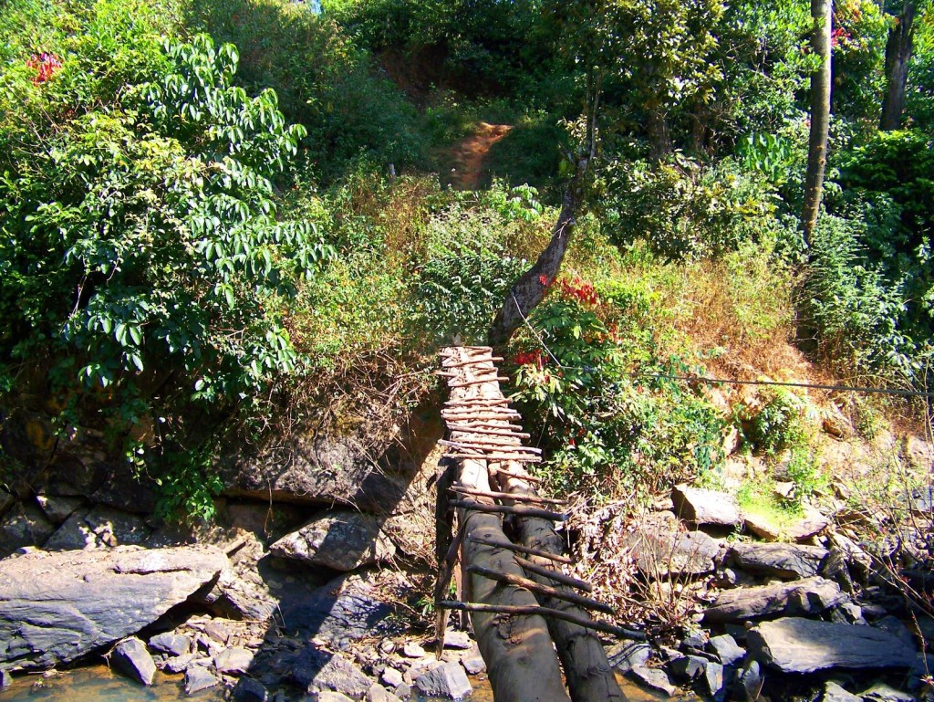 The wooden bridge, upstream at Abbi falls
