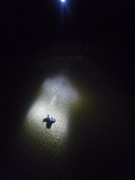 The baby being guided towards water with a torch