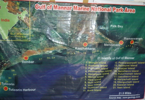 Gulf of Mannar marine national park area