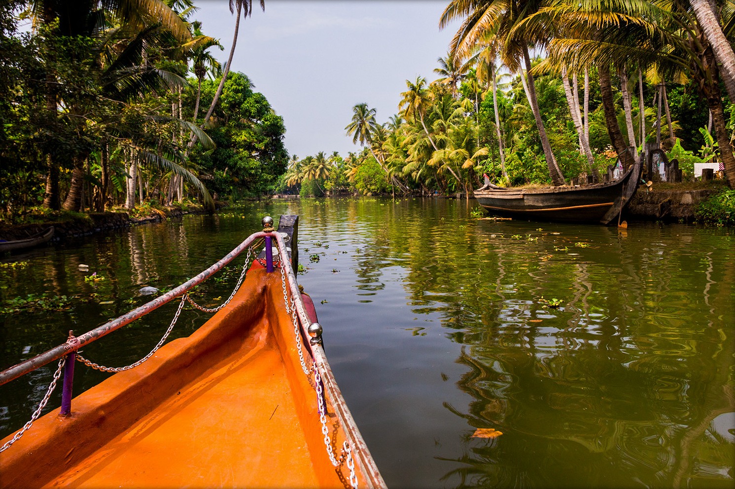 The Shikara cruise in the narrow canals of Alleppey
