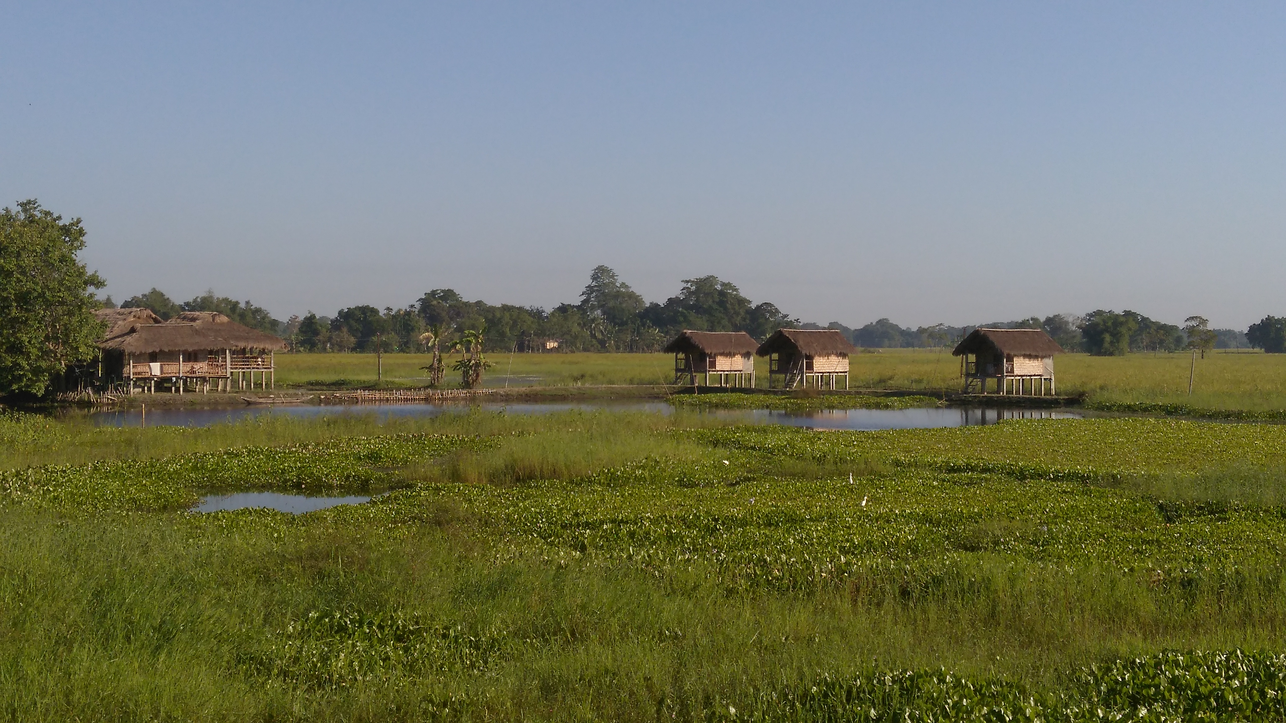 img_20161031_073505_1