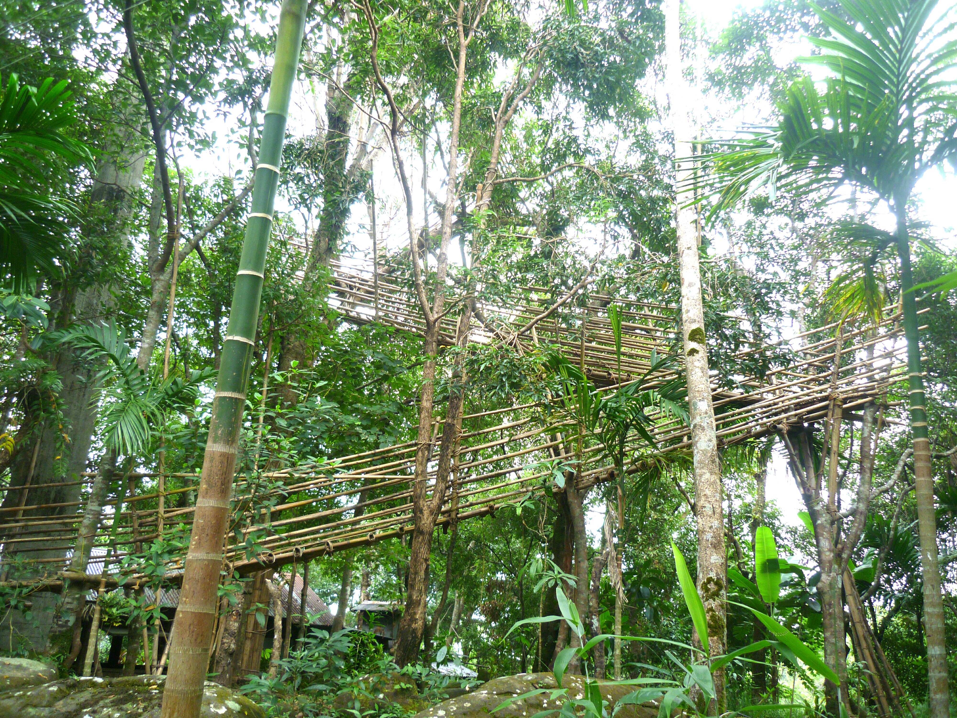 The Bangladesh view point at Mawlynnong