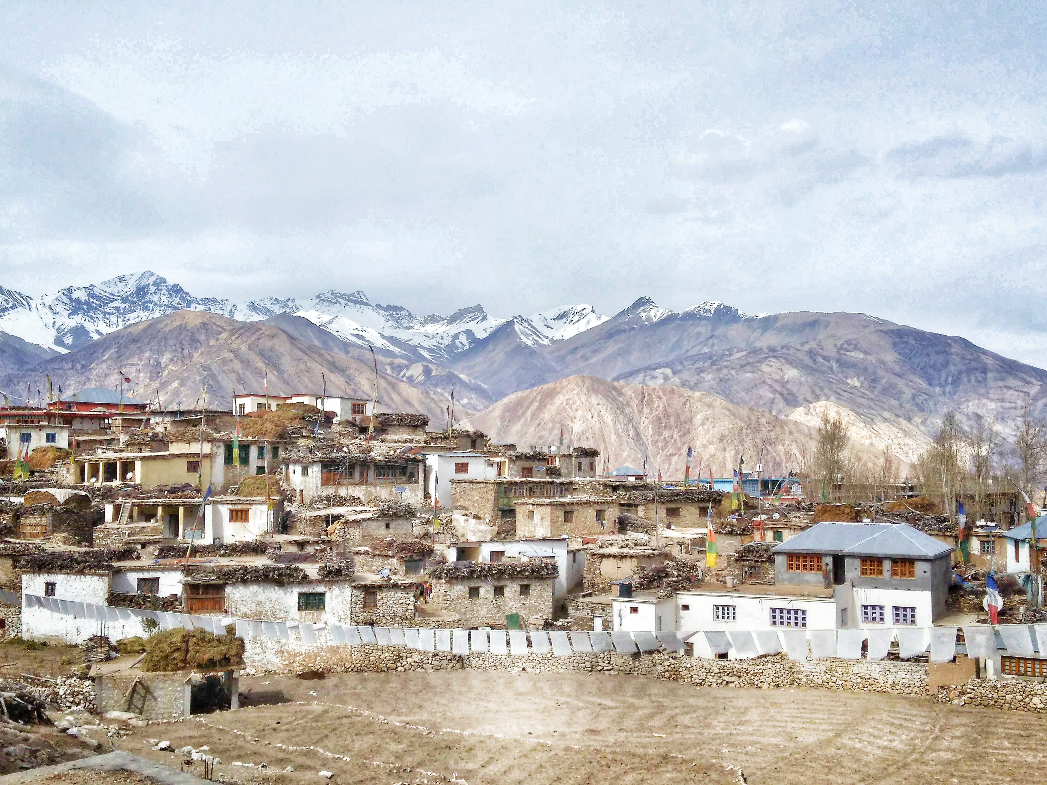 IMG_20181101_105225-01