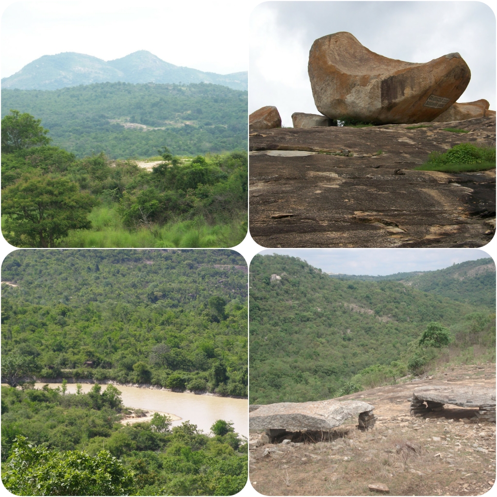 Views of the forest cover at Bannerghatta National park