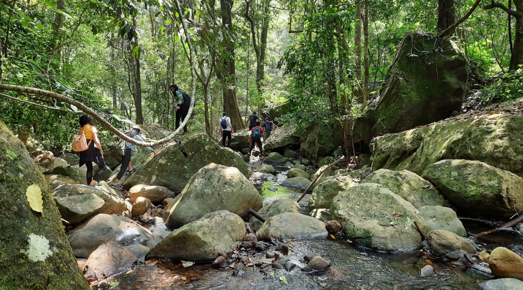 The stream and the hiking trail at Aranamala