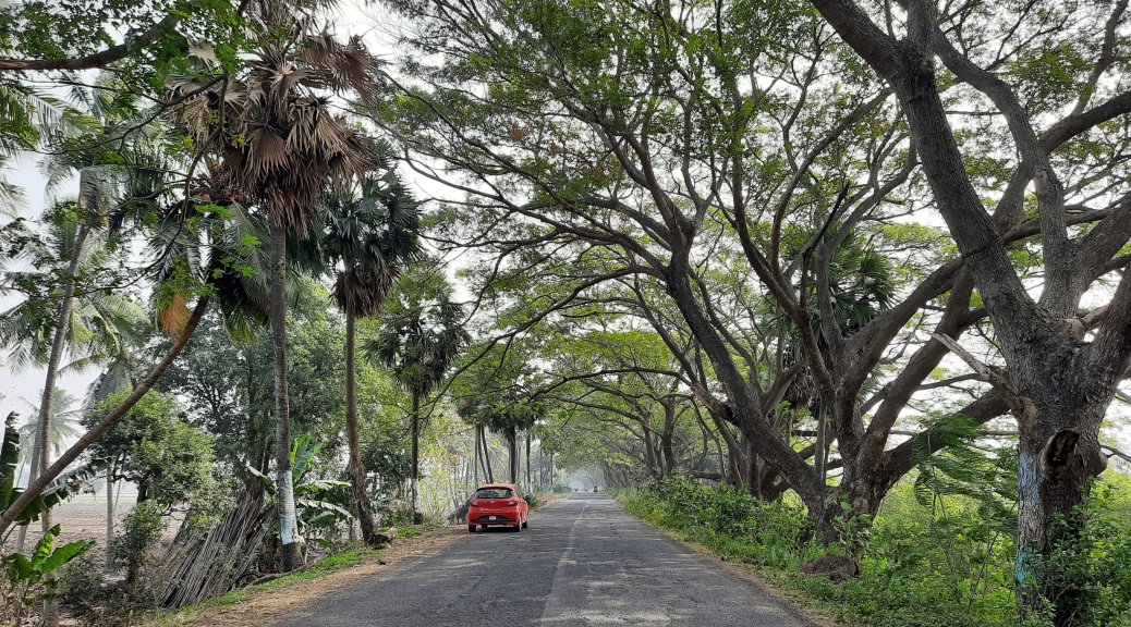 The Palm lined road leading to Athreyapuram