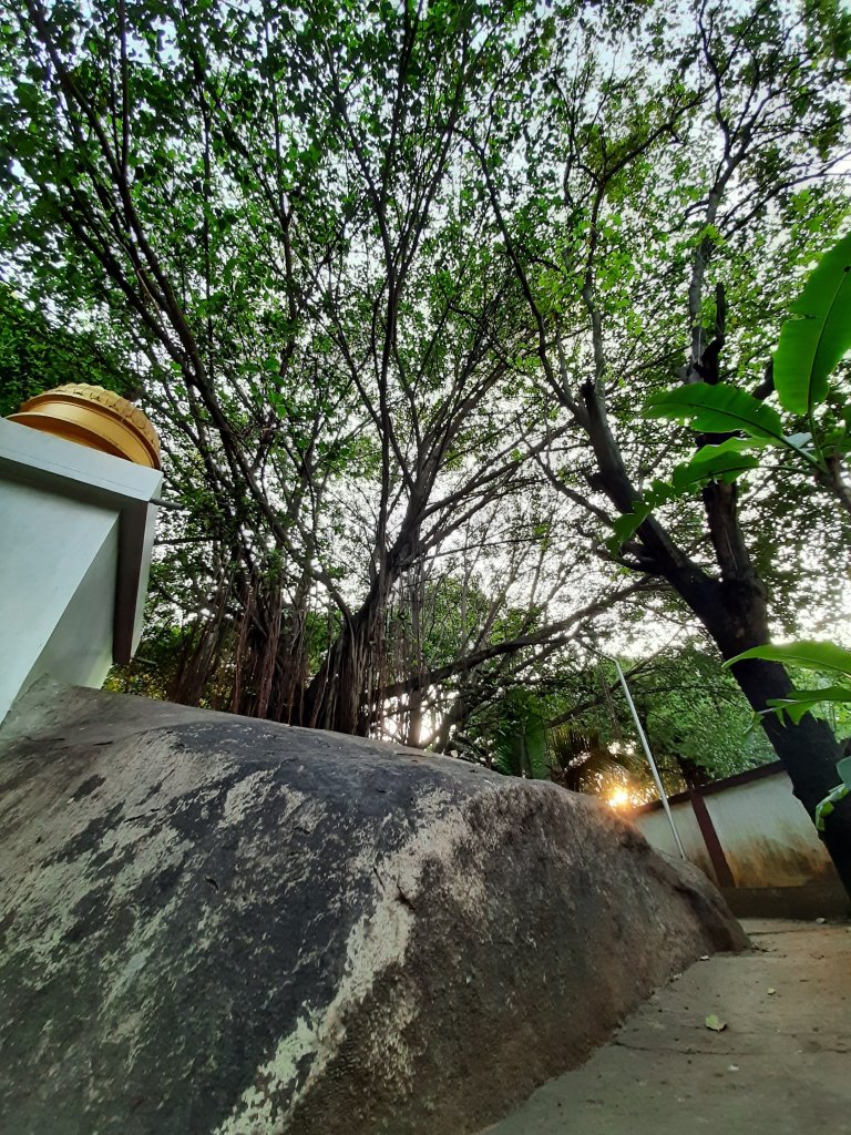 The premises of Sri Sampangi Ramaswamy temple in Vasanthanagar