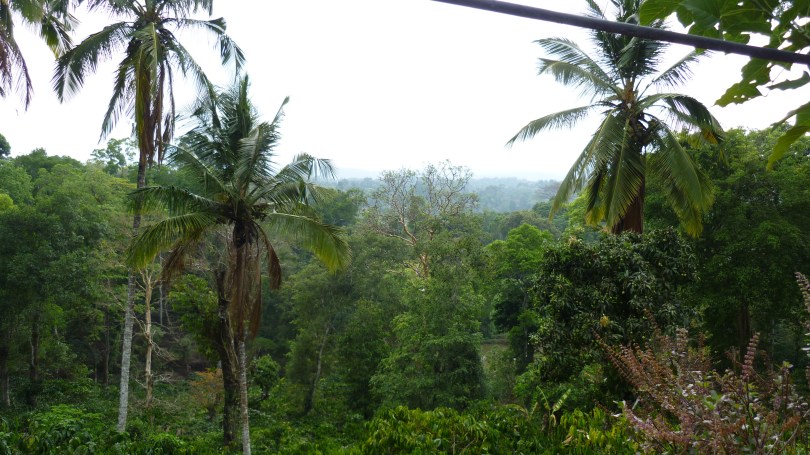 The kitchen view at Kumbaldal