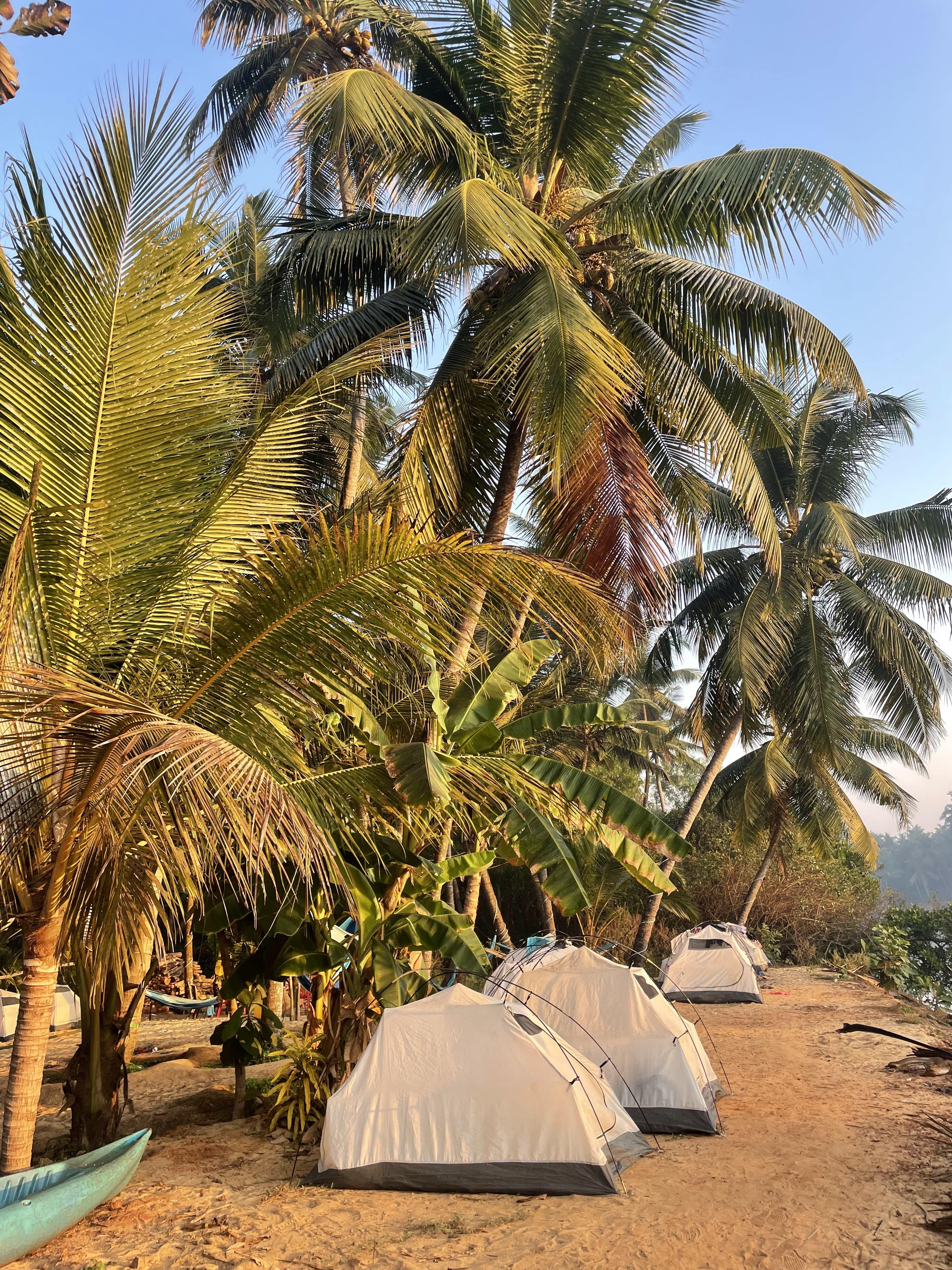 Campsite at Shambavi river bank, Mulki