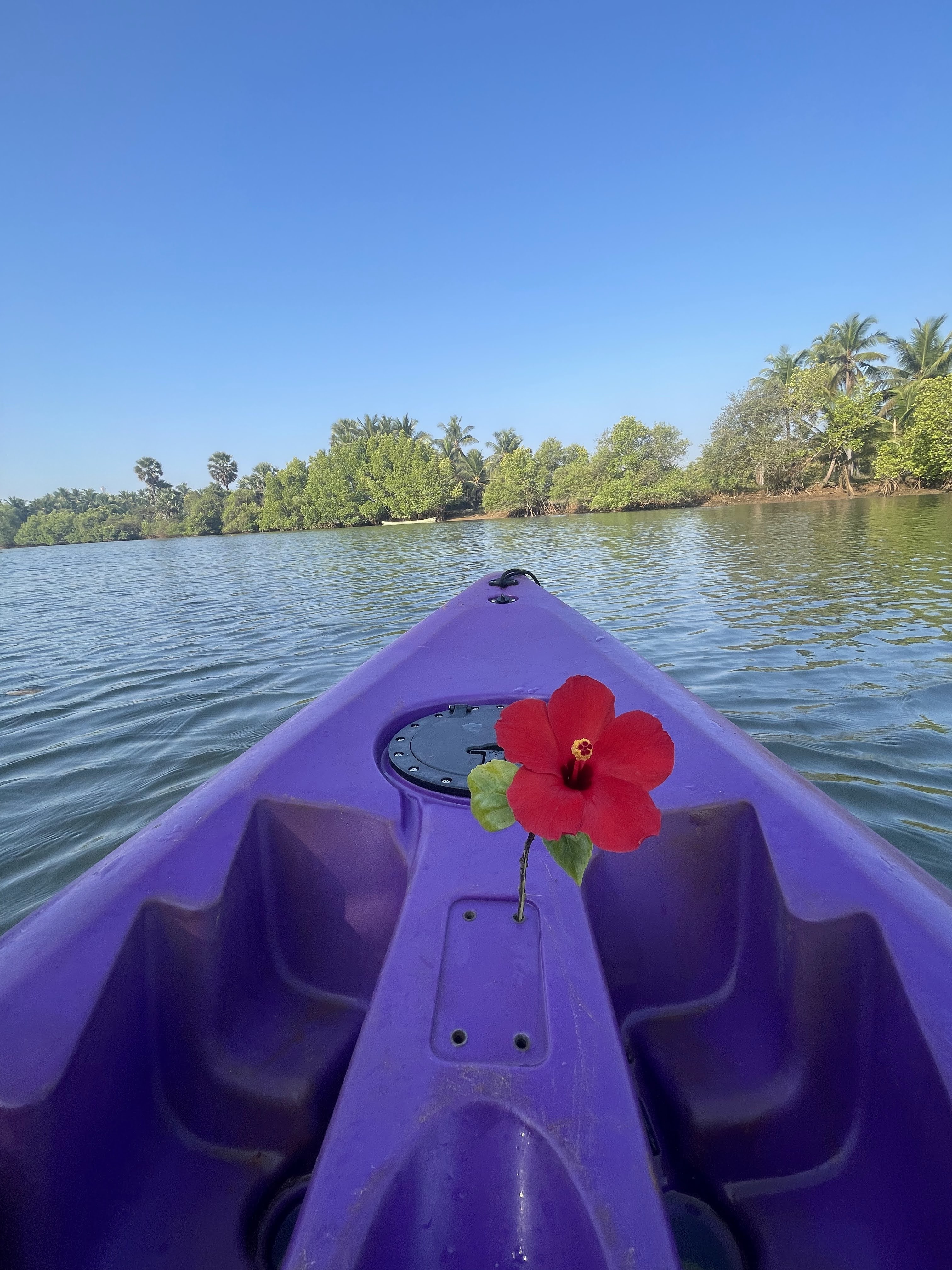 Kayaking in Shambavi backwaters