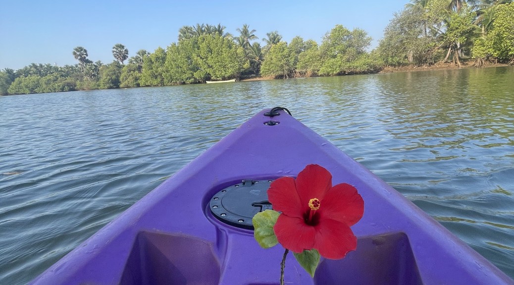 Kayaking in Shambavi backwaters