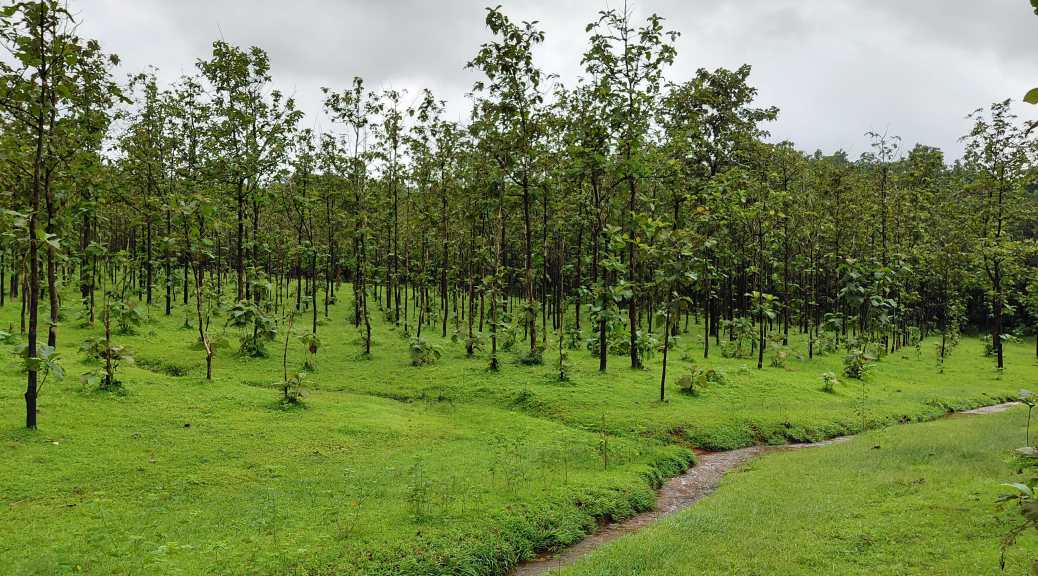 Mollem National Park