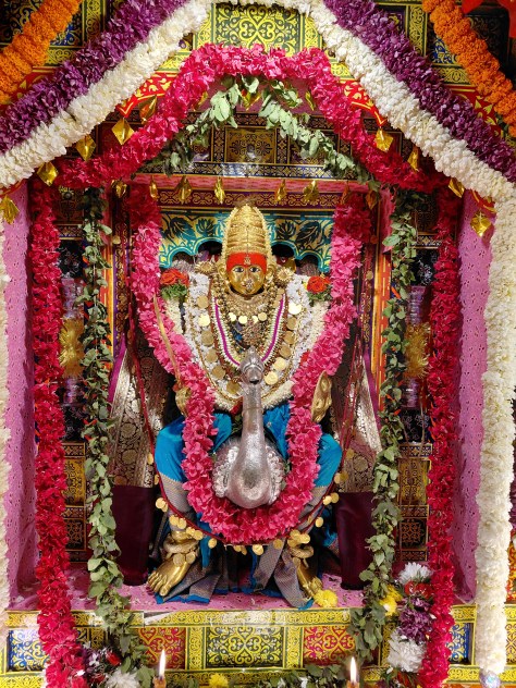 Shri Shantadurga Shankaleshwari Makarotsav
